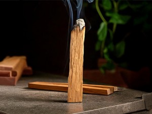 Asafora ile Palo Santo Tütsünün Gücünü Keşfedin