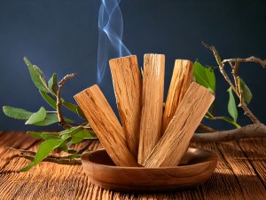 Palo Santo Nedir? Faydaları ve Doğru Kullanımı
