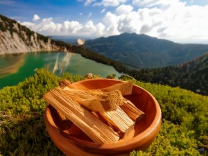 Palo Santo Rutieli ile Enerji Temizliğinde Doğanın Gücüyle Tanışın