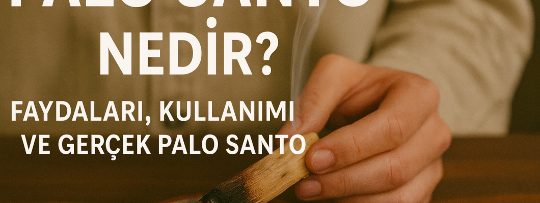 Palo Santo Nedir? Faydaları, Kullanımı ve Gerçek Palo Santo Rehberi