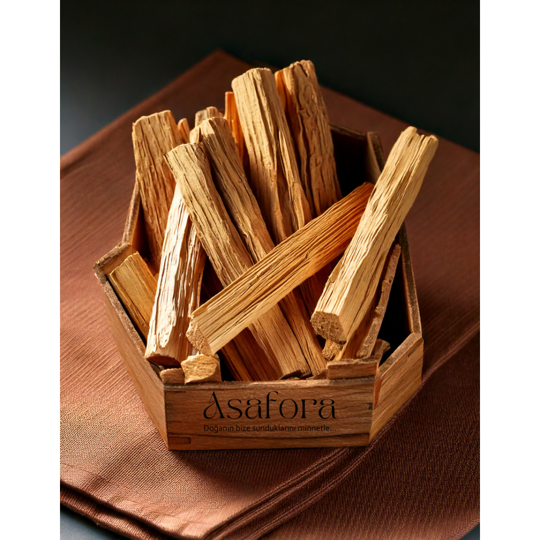 Toptan Palo Santo Satın Al | Sertifikalı Kilo Palo Santo Ağaç Tütsü